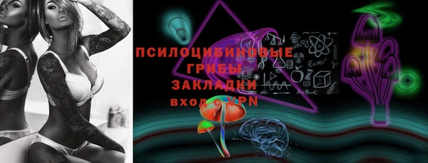 твердый Алзамай