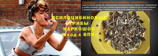 spice Медвежьегорск