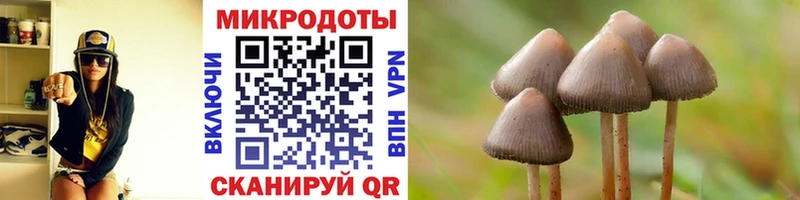 сколько стоит  Люберцы  Псилоцибиновые грибы Psilocybine cubensis 
