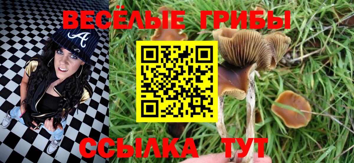 Псилоцибиновые грибы мухоморы  Псилоцибиновые грибы Psilocybe  Вход с VPN  Люберцы 