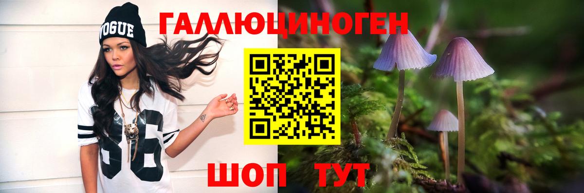 Псилоцибиновые грибы Psilocybe Люберцы